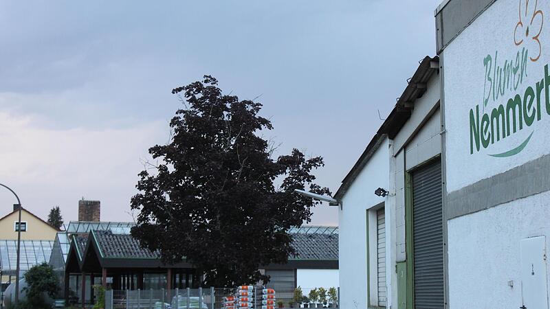 Die G&auml;rtnerei Nemmert in Michelau schlie&szlig;t zum Monatsende.