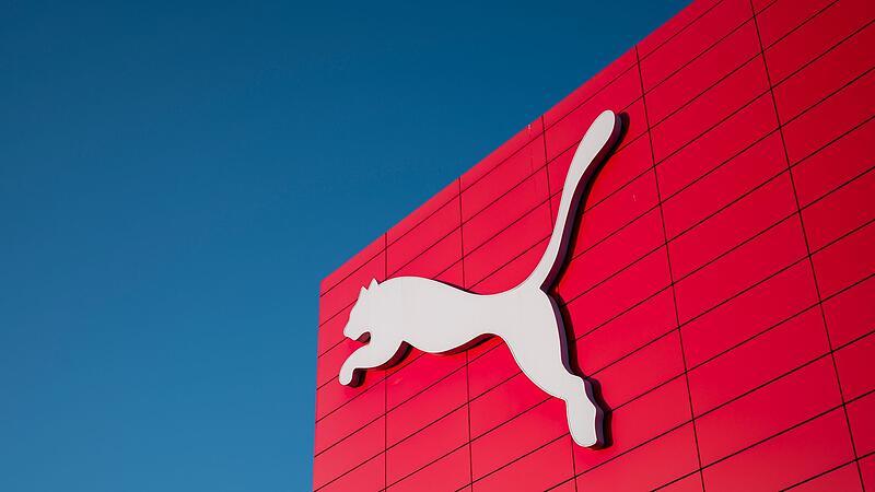 Puma Puma