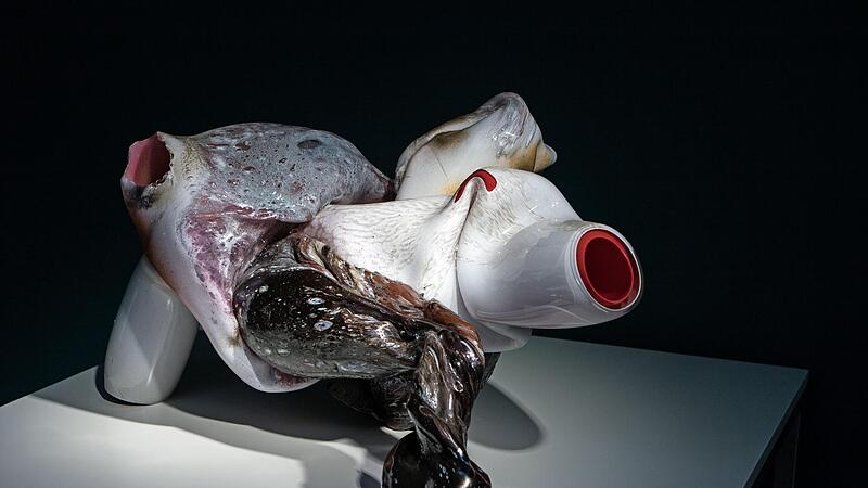 Maria Koshenkova: „Bestiary“ – Studioglas aus Dänemark zeigt eine neue Sonderausstellung im Museum für Modernes Glas im Park von Schloss Rosenau.