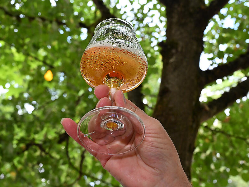 Annafest Bierprobe 2025Annafest Bierprobe 2025
