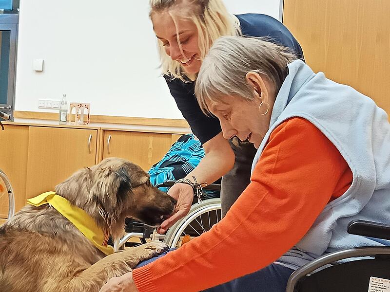 45 Minuten lang heißt es im Altenkunstadter Pflegezentrum St. Kunigund: Spielen, Kuscheln und das ein oder andere Leckerli verteilen. Für Hund und Mensch bedeutet der Besuch Glückshormone pur. 45 Minuten lang heißt es im Altenkunstadter Pflegezentrum St. Kunigund: Spielen, Kuscheln und das ein oder andere Leckerli verteilen. Für Hund und Mensch bedeutet der Besuch Glückshormone pur.