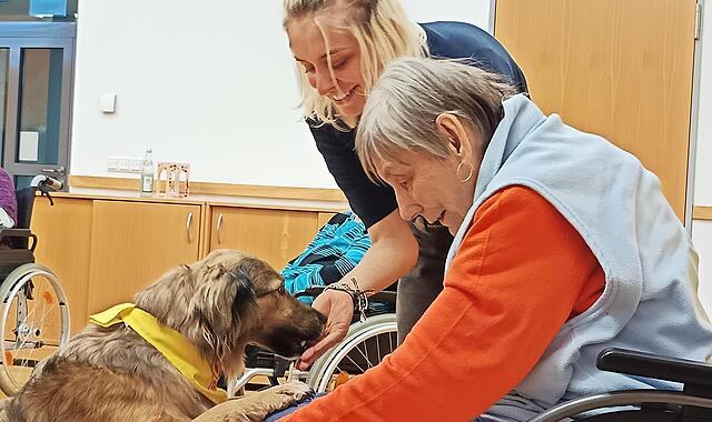 45 Minuten lang heißt es im Altenkunstadter Pflegezentrum St. Kunigund: Spielen, Kuscheln und das ein oder andere Leckerli verteilen. Für Hund und Mensch bedeutet der Besuch Glückshormone pur.