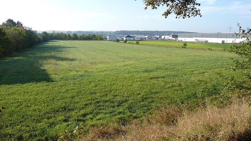 Auf diesem Grundstück in Höchstadt sollen schon bald zwischen 15-20 Handwerksbetriebe ein neues Zuhause finden.