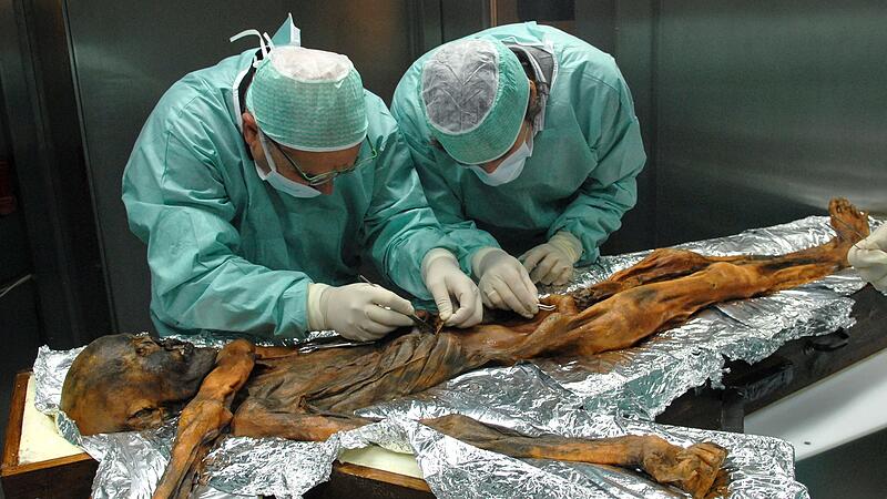 35 Jahre nach dem Fund der Gletschermumie Ötzi. 35 Jahre nach dem Fund der Gletschermumie Ötzi.