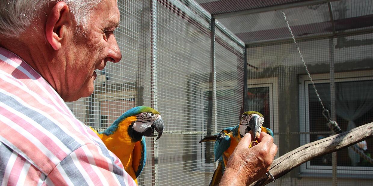 Rapunzel Samba Kokos 250g - Manufacturer - Foto 7