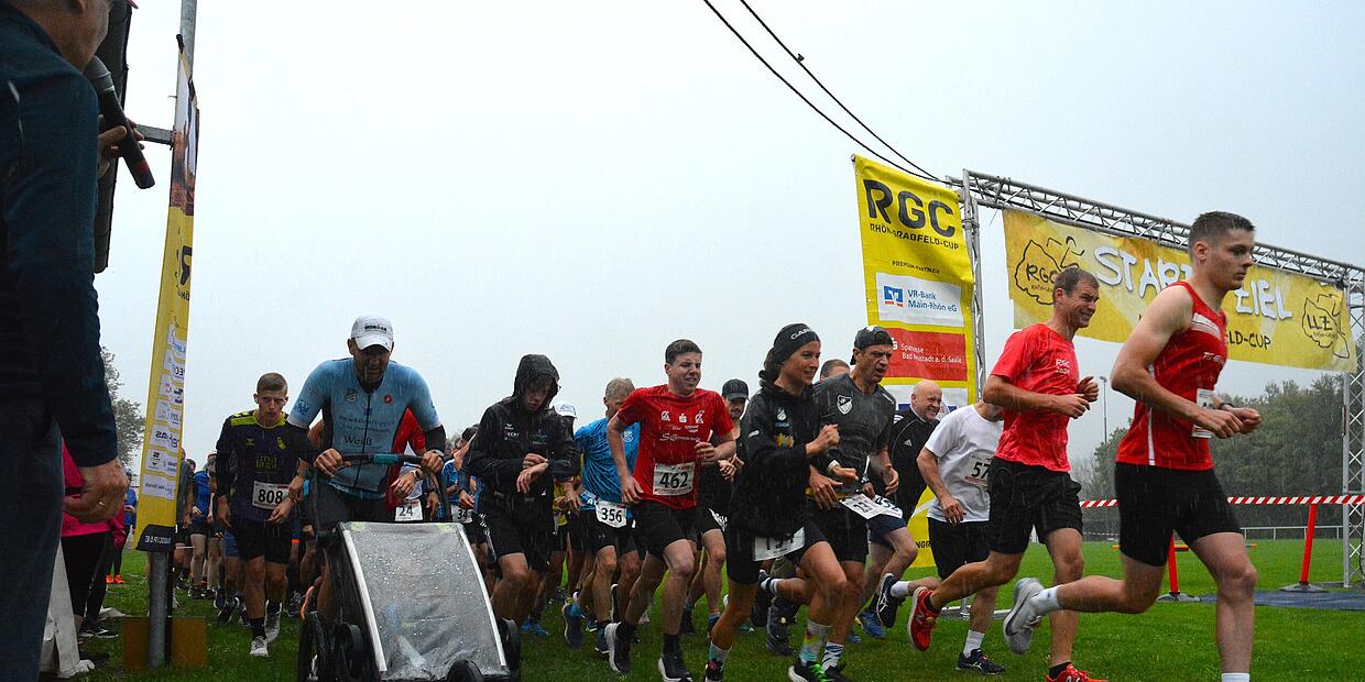 Rain at the forest | and nature run: the best snapshots