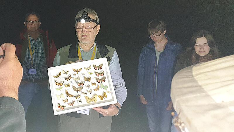 Hans-Peter Schreier von der Arbeitsgemeinschaft Bayerischer Entomologen (Insektenforscher zeigt die Vielfalt von Nachtfaltern beim Lichtfang.Forchheim & Fränkische Schweiz Hans-Peter Schreier von der Arbeitsgemeinschaft Bayerischer Entomologen (Insektenforscher zeigt die Vielfalt von Nachtfaltern beim Lichtfang.Forchheim & Fränkische Schweiz