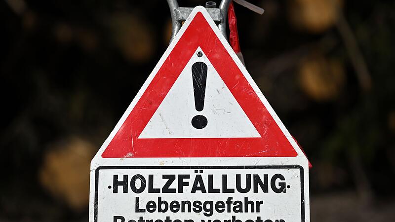 Holzernte