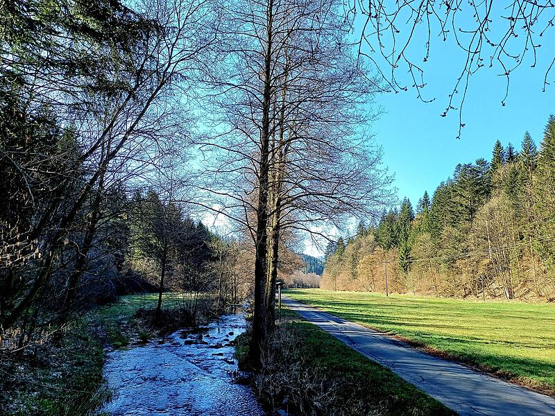 Leserfotos: So sch&ouml;n ist der Sommeranfang im FrankenwaldLeserfotos: So sch&ouml;n ist der Sommeranfang im Frankenwald