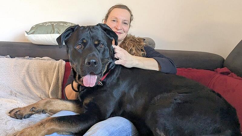 Rottweiler-Mix Balu mit seiner neuen Besitzerin