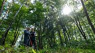 Waldzustandserhebung Waldzustandserhebung