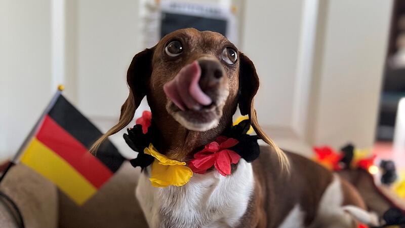 Voll ausgestattet: Familie Hormuth fiebert schon auf das erste Deutschlandspiel hin und haben auch Lucys Körbchen entsprechend dekoriert.