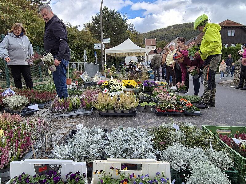 Herbstmarkt Euerdorf Herbstmarkt Euerdorf