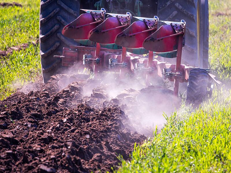 Vergisst Bayern seine Schutzziele von &laquo;Rettet die Bienen&raquo;?