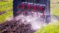 Vergisst Bayern seine Schutzziele von &laquo;Rettet die Bienen&raquo;?