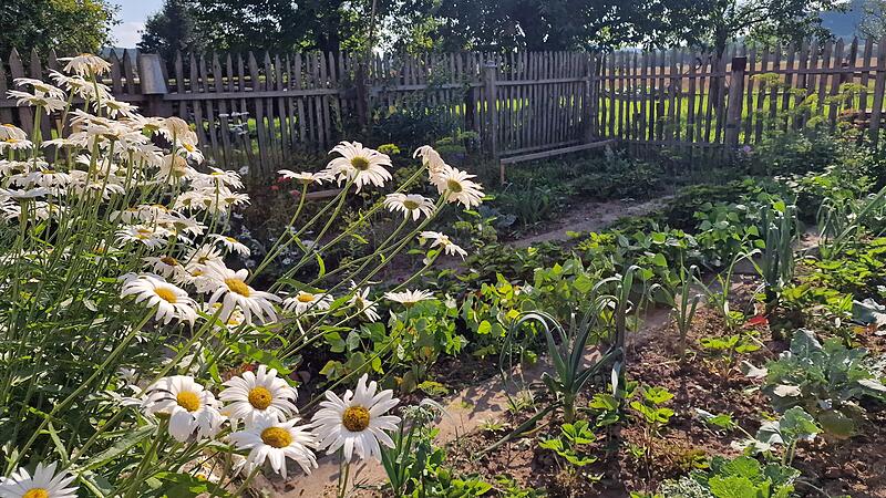 Einen typischen Bauerngarten bewirtschaftet Christian Volpert.