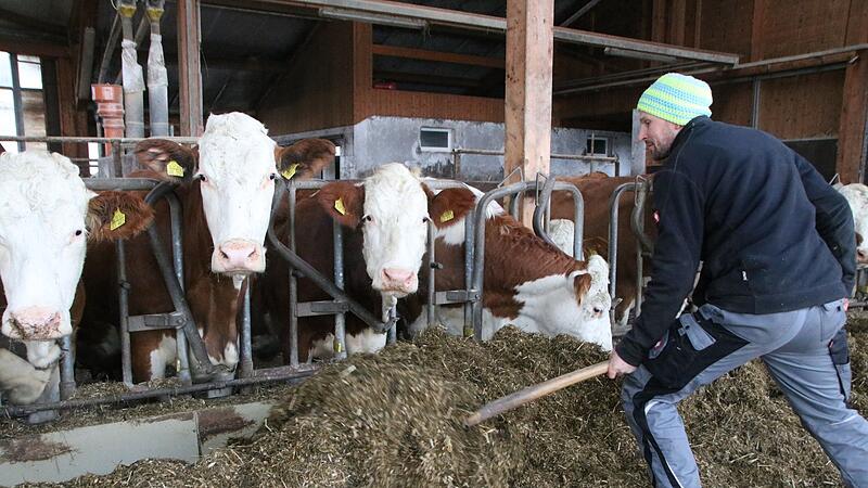 Alexander Eber Alexander Eber