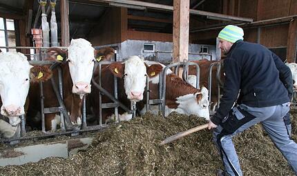 Alexander Eber Alexander Eber