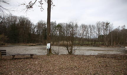 Arbeiten am Windseller See bei WindheimArbeiten am Windseller See bei Windheim Der leere Windseller See