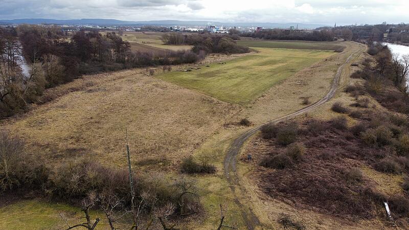 Links der Main, rechts die Regnitz: Nordwestlich der B26 bei der Firma RZB k&ouml;nnte ein Bamberger Gewerbegebiet entstehen