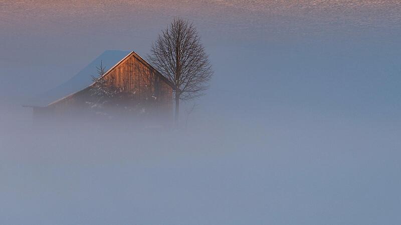 Abendliche Winterlandschaft
