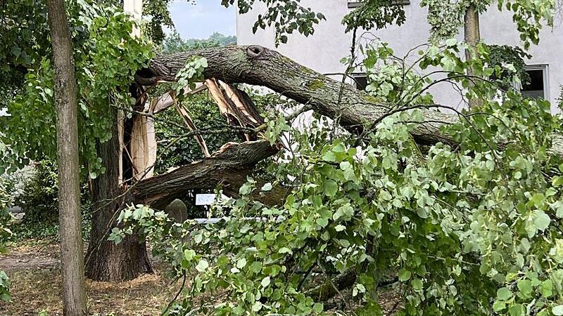 Sturmschäden am Laurenziplatz