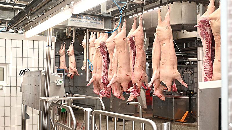 Etwa 900 Schweine wurden am letzten Schlachttag in Bamberg noch geschlachtet.