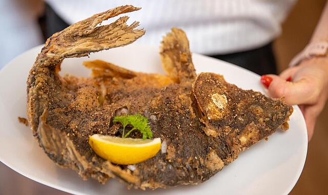 Im September soll in Höchstadt ein Karpfenfest stattfinden. Im September soll in Höchstadt ein Karpfenfest stattfinden.