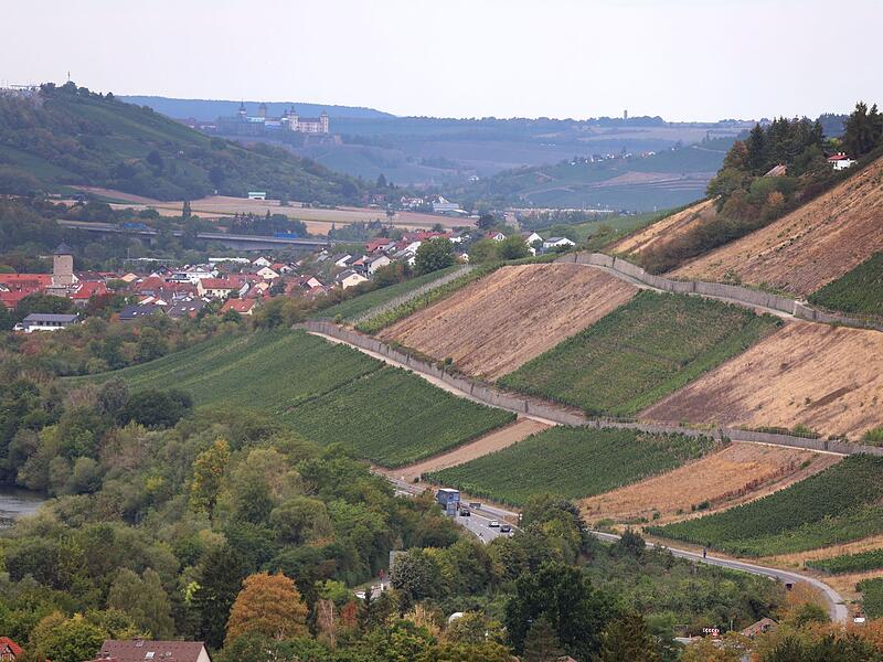 Frankenwein