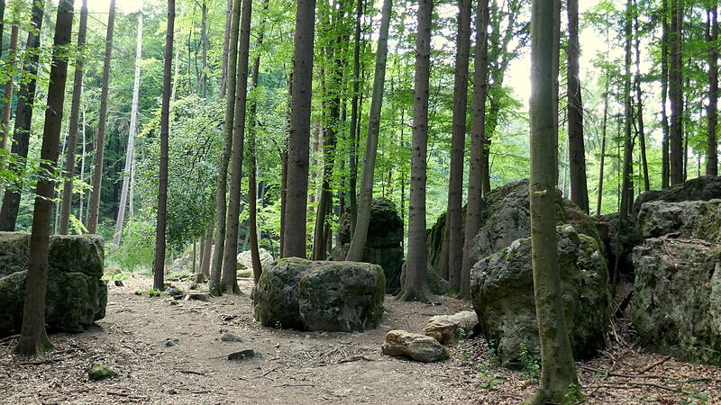 Das Felsenlabyrinth Druidenhain befindet sich unweit von Wohlmannsgesees. Das Felsenlabyrinth Druidenhain befindet sich unweit von Wohlmannsgesees.