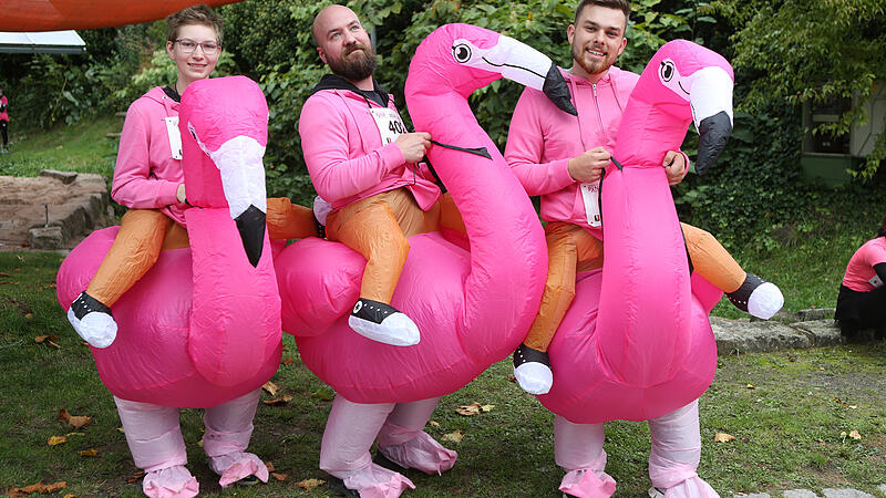 Pinklauf in Bad Brückenau wieder erfolgreich Pinklauf in Bad Brückenau wieder erfolgreich