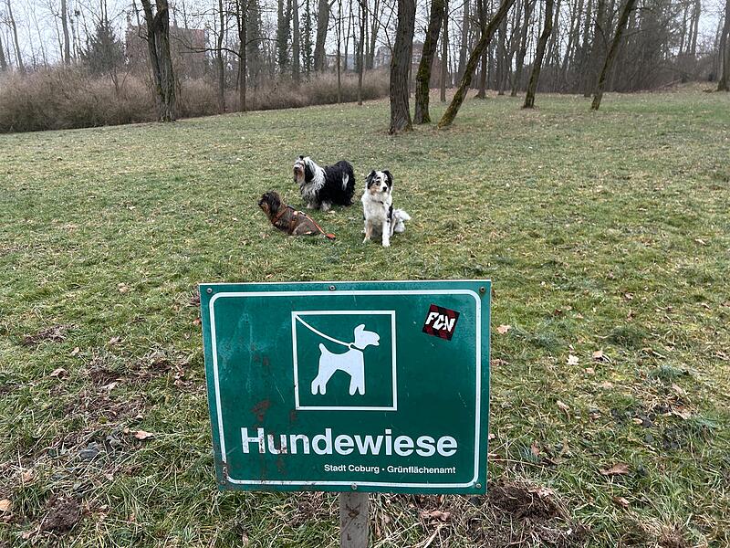 Hundewiese im Coburger Hofgarten Hundewiese im Coburger Hofgarten