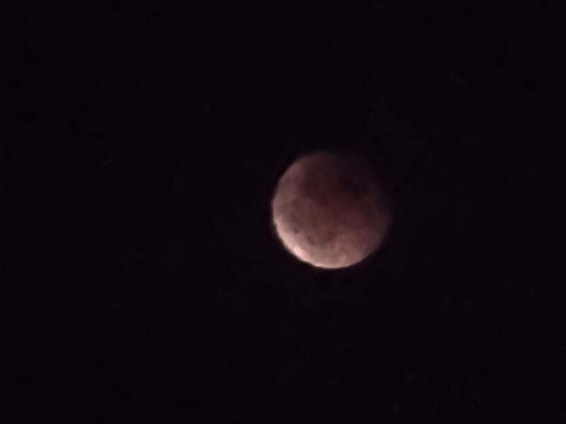 Auch Bettina Schmitt vefolgte das Spektakel.Blutmond über Forchheim