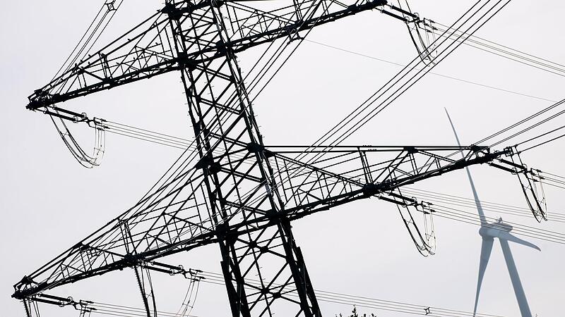 Der Verein MSP-Link kritisiert die Kommunikation des Netzbetreibers Tennet bei der Planung der Stromtrasse P43. Der Verein MSP-Link kritisiert die Kommunikation des Netzbetreibers Tennet bei der Planung der Stromtrasse P43.