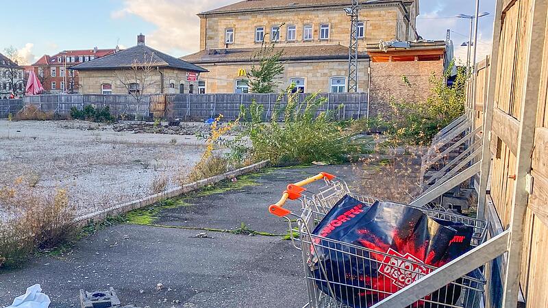 Tristesse hinterm Bauzaun: Wo einst der Eingang zum Atrium stand, wachsen B&uuml;sche und B&auml;ume.