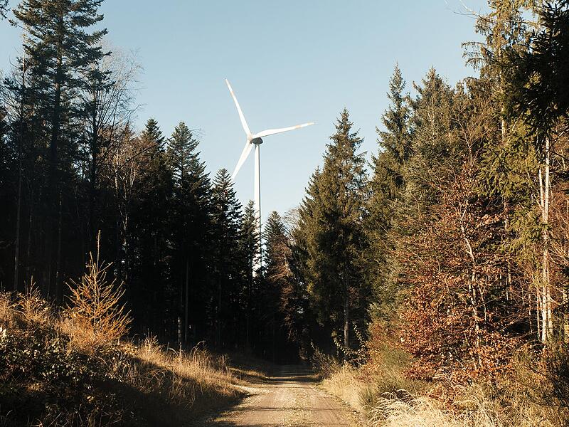 Das Kommunalunternehmen Regiowerk Münnerstadt soll im ersten Schritt helfen, beim Windpark Bildhäuser Forst mitzuinvestieren.