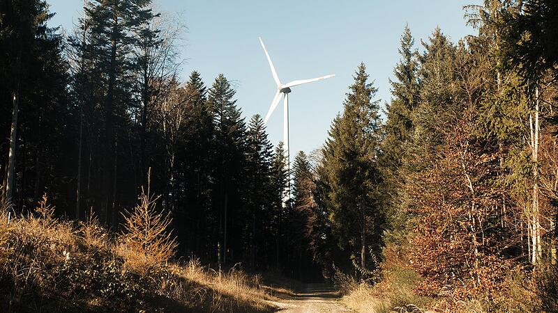 Grüner Strom für den Frankenwald: Die BaySF BayernWind wird in der Gemeinde Pressig Windräder im bayerischen Staatswald bauen.