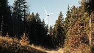 Grüner Strom für den Frankenwald: Die BaySF BayernWind wird in der Gemeinde Pressig Windräder im bayerischen Staatswald bauen. Grüner Strom für den Frankenwald: Die BaySF BayernWind wird in der Gemeinde Pressig Windräder im bayerischen Staatswald bauen.