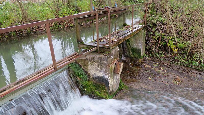 Zwischen Horsdorf und Loffeld: Der Bach „Lauter“ ist einst gezähmt und gebändigt worden. Für Fische und andere Organismen war und ist das ein großes Problem.