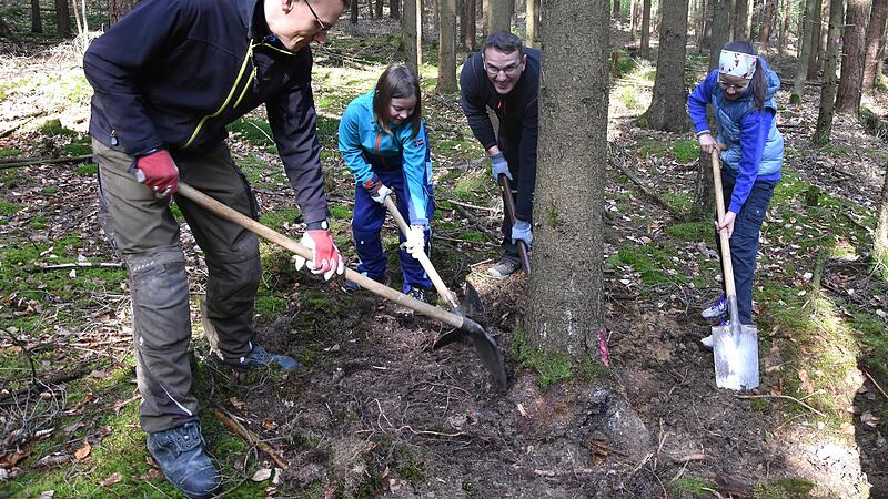 Familie Pieger legt zun&auml;chst die Wurzeln frei&hellip;Forchheim & Fr&auml;nkische Schweiz