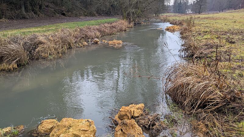 So sollte die Aufse&szlig; nach der Renaturierung aussehen.