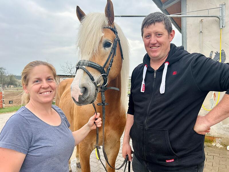 Lisa und Andreas Hock wollen ihre Leidenschaft f&uuml;r Haflinger im Rahmen einer gro&szlig;en Fohlenschau in H&ouml;chstadt mit buntem Familienprogramm am Sonntag mit vielen Besuchern auf ihrem Haflingerhof teilen.