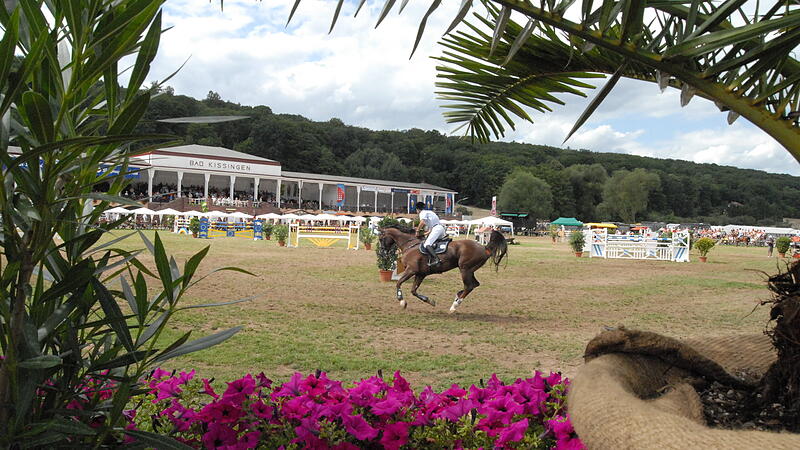 Mit Trib&uuml;nen-Publikum: Gesteigerte Vorfreude auf das Rakoczy-Reitturnier