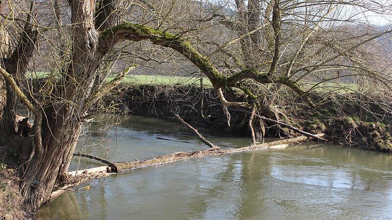 Ein Baumstamm versperrt die Fr&auml;nkische Saale bei Gro&szlig;enbrach im Landkreis Bad Kissingen.