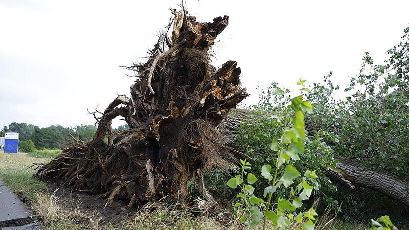 Starkes Unwetter trifft Mittelfranken: Heftiger Starkregen sorgt f&uuml;r &uuml;berschwemmte Stra&szlig;en und umgest&uuml;rzte B&auml;ume