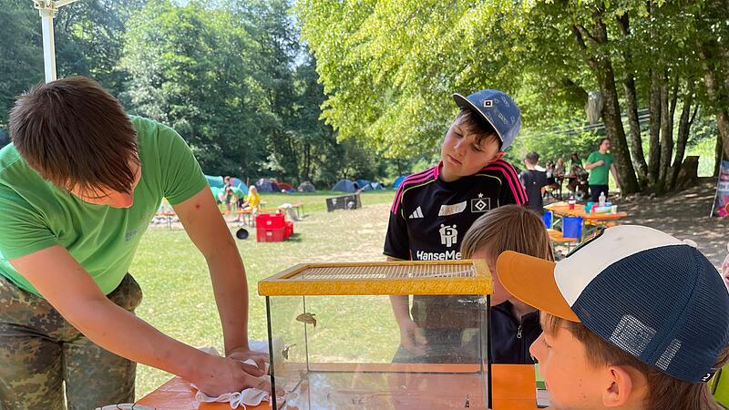 Abenteuer in der Wildnis