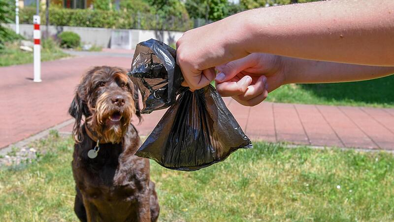 So ist es korrekt: Nachdem der Hund beim Gassigehen seinen Haufen hinterlassen hat, entsorgt der Besitzer die Exkremente mit einem Kotbeutel, den er auch nicht liegenl&auml;sst.Forchheim & Fr&auml;nkische Schweiz