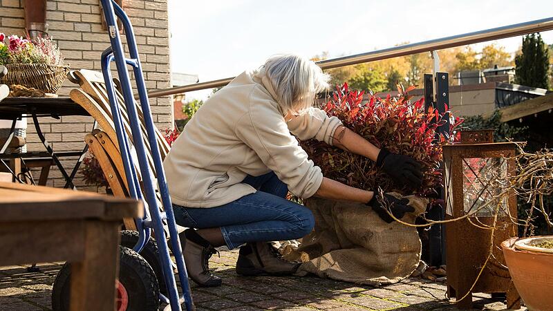 Bei empfindlichen&nbsp;Topfpflanzen, die in der kalten Jahreszeit drau&szlig;en bleiben, kann zum Schutz der K&uuml;bel in Vlies eingepackt werden.