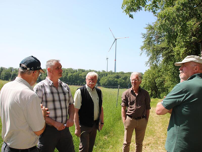 Beim Waldbegang in Sulzthal begutachteten Förster und Gemeinderäte eine Aufforstungsfläche in Sichtweite zum Sulzthaler Windpark. Beim Waldbegang in Sulzthal begutachteten Förster und Gemeinderäte eine Aufforstungsfläche in Sichtweite zum Sulzthaler Windpark.