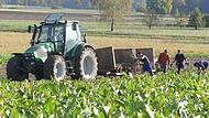 Andreas Schmidt steuert in Biengarten den Traktor mit dem Anh&auml;nger, auf den die Erntehelfer die Krenstangen schichten.